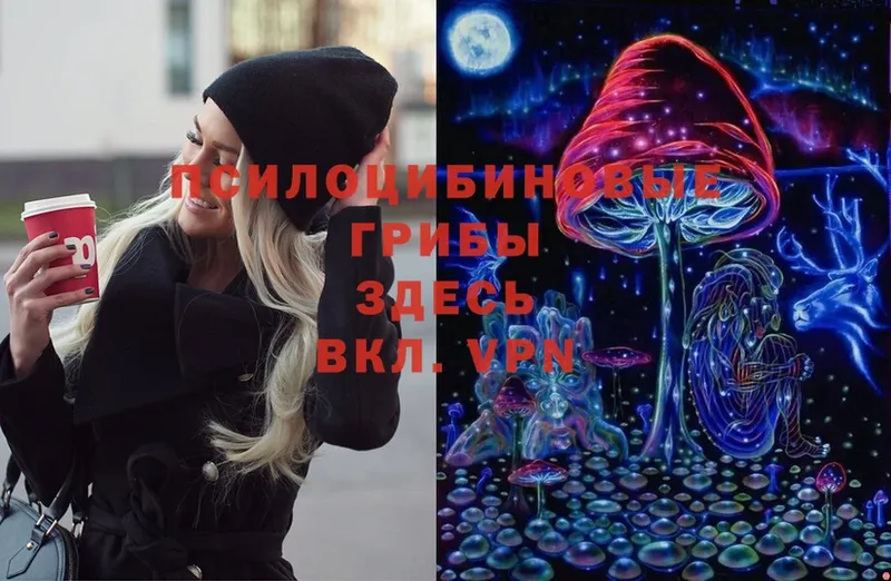 Псилоцибиновые грибы Psilocybe  Вятские Поляны 